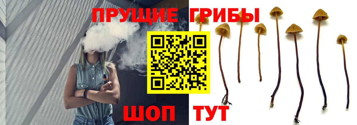 Псилоцибиновые грибы MAGIC MUSHROOMS  Вход с VPN  Соликамск 